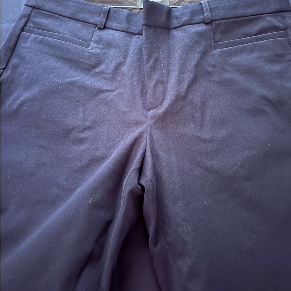 Banana Republic navy Sloan Pants